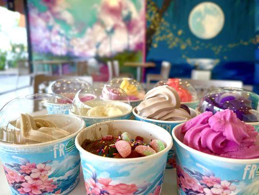 Feeling like the Oprah Winfrey of yogurt - all the to go orders for family and friends.