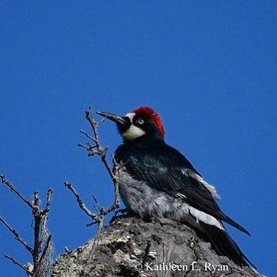 George Washington Park