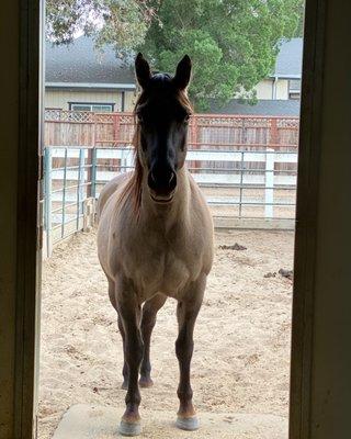 Sunset Equestrian Center