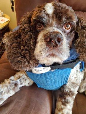 Franklin Animal Clinic