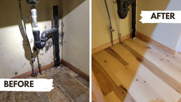 Mold under a sink. With mold remediation and reapirs