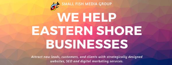 Small Fish Media Group - Website Design and SEO