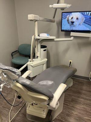 Don't you love seeing Cierra's hygienist pooch on the monitor? Sometimes, a dental experience isn't enjoyable.
