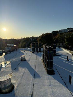 Mike’s Hauling and Tree Service