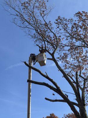 Barclay’s Property Service