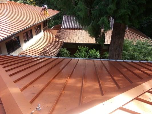 Exterior Care PDX Inc