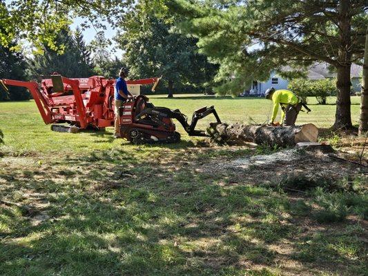 KLC Turf Pro & Tree Service