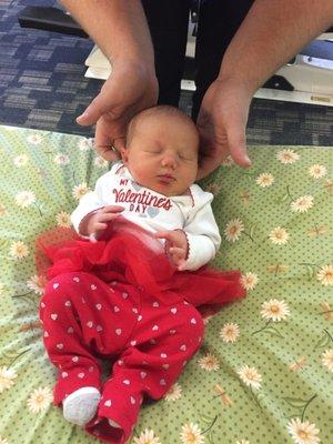 Life Springs Family Chiropractic