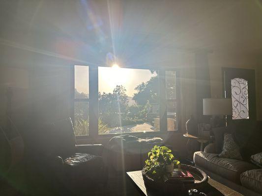 A Better View Exterior Cleaning Specialists