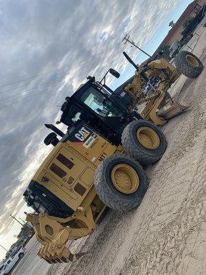Mustang Cat - Houston