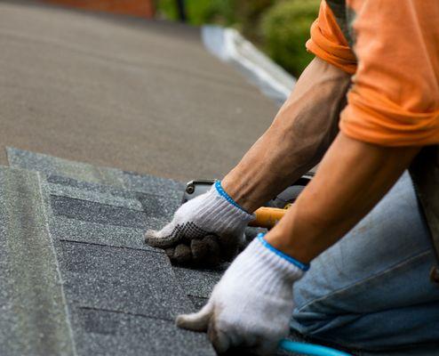 Pantera Roofing