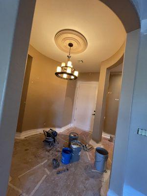 Silver Husky Professional Painting