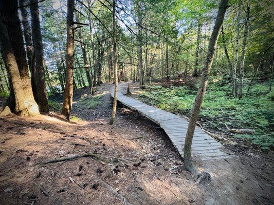 Presumpscot River Preserve