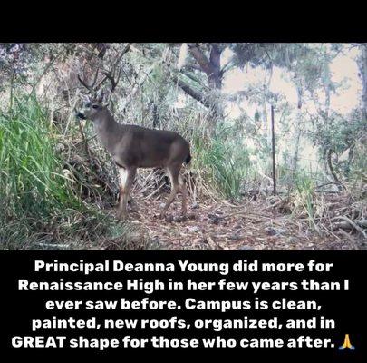 Renaissance High School