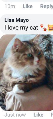 SafeHaven Humane Society