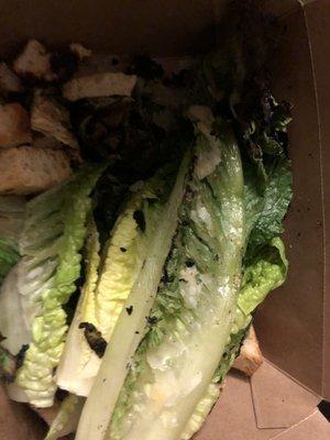 Grilled Caesar (takeout)