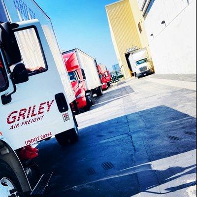 Griley Airfreight