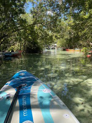 Beautiful clear water end of August..