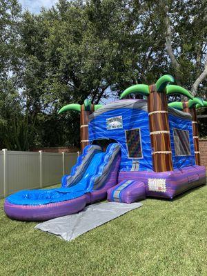 Tropical mini wet combo.