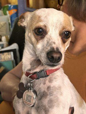 Nana's Spaw Boutique & Grooming