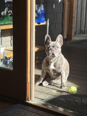 TLC Fibre Federal Credit Union