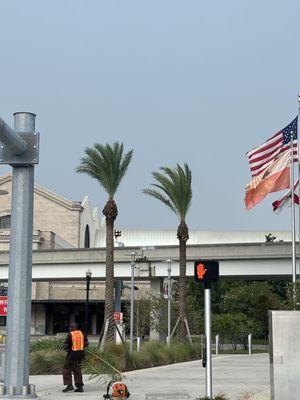 Prolific Outdoor Services