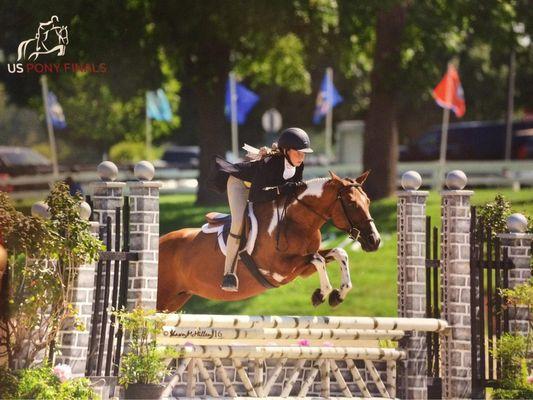 Sagamore Hill Stables