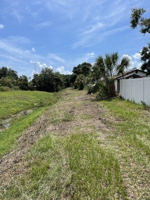 Goldens Landscape and Tree