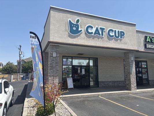 Cat Cup