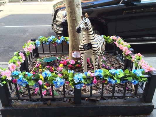 They even decorate the sidewalk!