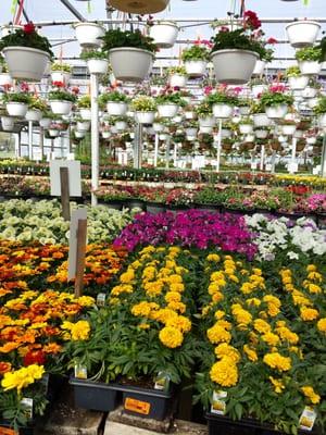 Wells Nursery & Greenhouses