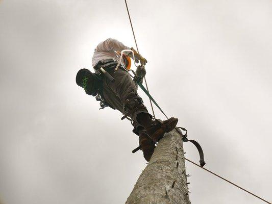 Elite Lineman Training Institute