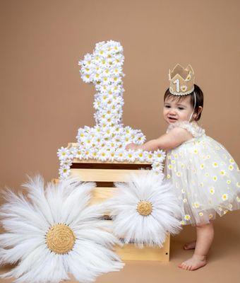 Photo Studio and Balloon Decoration