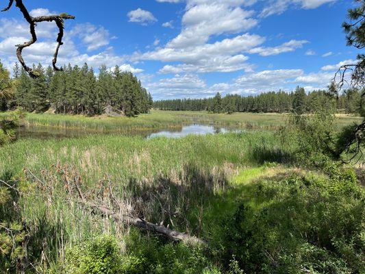 Turnbull National Wildlife Refuge