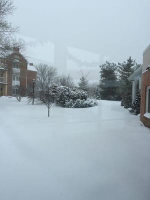 The Highlands at Wyomissing