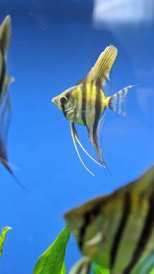 Eddie's Aquarium Centre