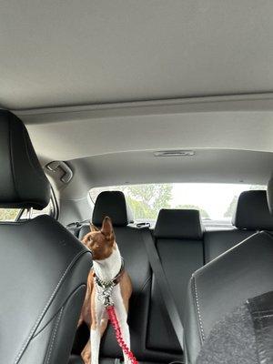 He doesn't want to leave!