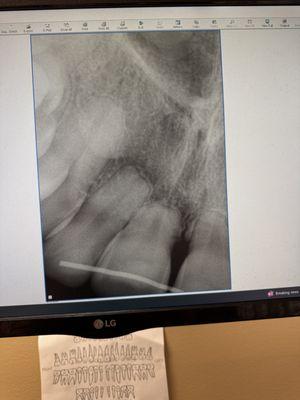 Azita Anissi, DDS