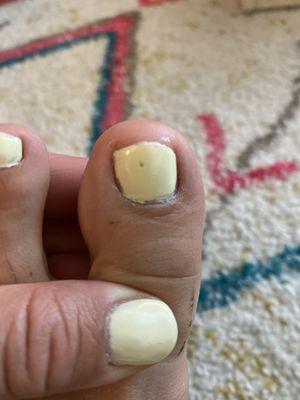 Avalon Nails and Spa