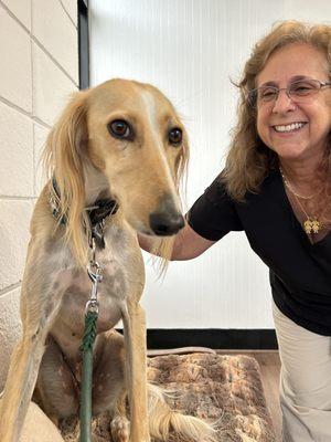 Our special Saluki friend, Nuraya.