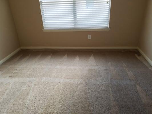 Oxi Fresh Carpet Cleaning