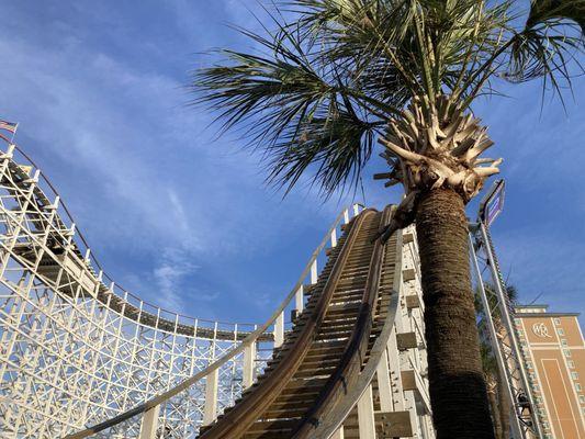 Coasters & Palm Trees