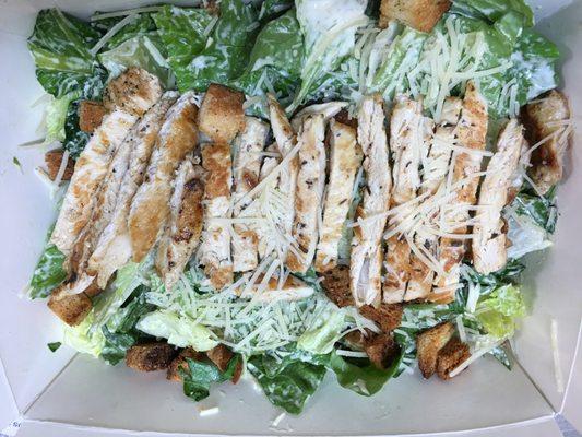 Grilled Chicken Caesar