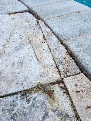 Hardscape & Landscaping Professionals