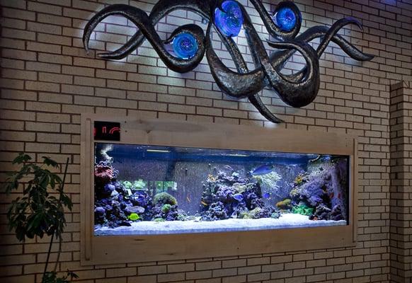 Custom Aquarium at Discount Electronics on Anderson Lane
