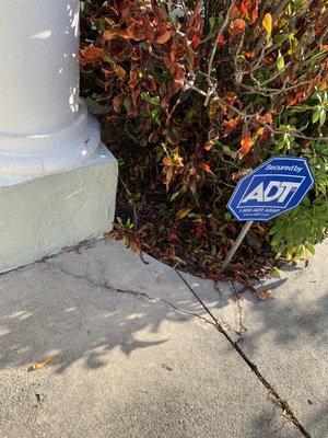 Bensons Soft Roof Washing