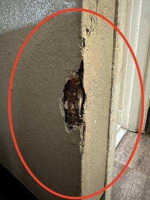 Super 8 by Wyndham Fort Myers