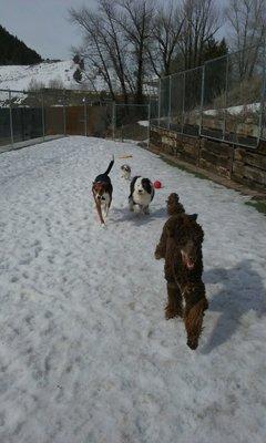 We were skiing and our pup was playing! Great kennel!