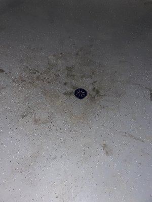 Looks like it was never flooded