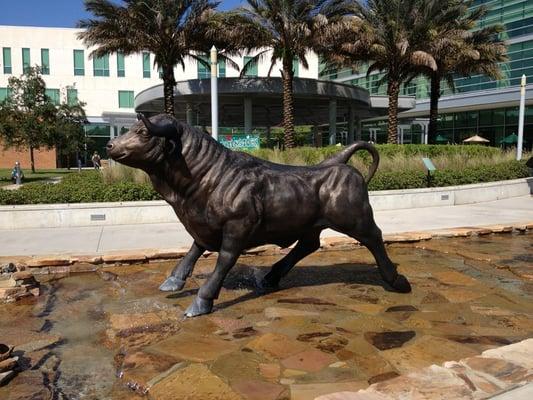 University of South Florida